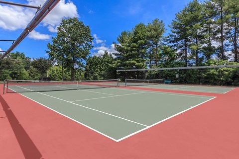 a tennis court with trees and a blue sky in the background