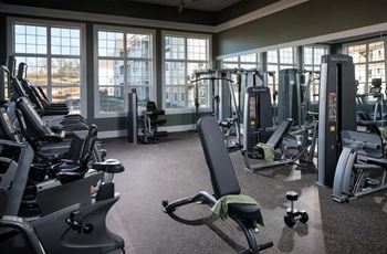 A gym with a row of treadmills and a row of stationary bikes.at Meridian West Shore, Mechanicsburg, PA 17055