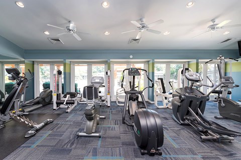 A gym with a variety of exercise equipment including treadmills, stationary bikes, and elliptical machines.