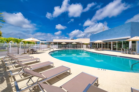 A large swimming pool surrounded by sun loungers and umbrellas.