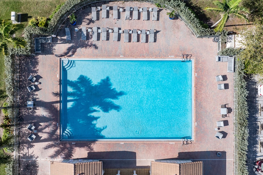 An aerial view of a swimming pool surrounded by sun loungers and trees.