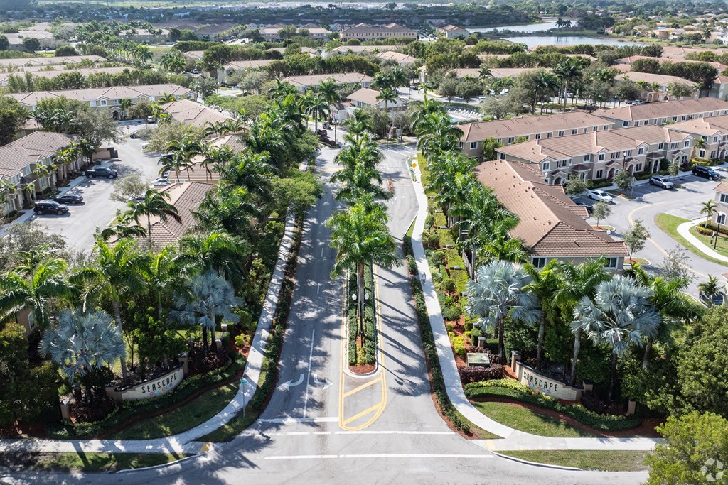 A street view of a residential area with palm trees and houses.