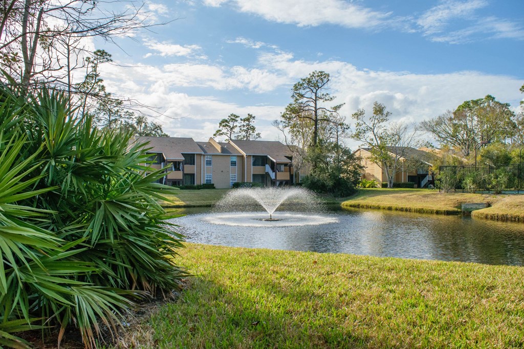 a pond with a fountain in front of a row of houses at Lakeside Gardens, Florida, 32114