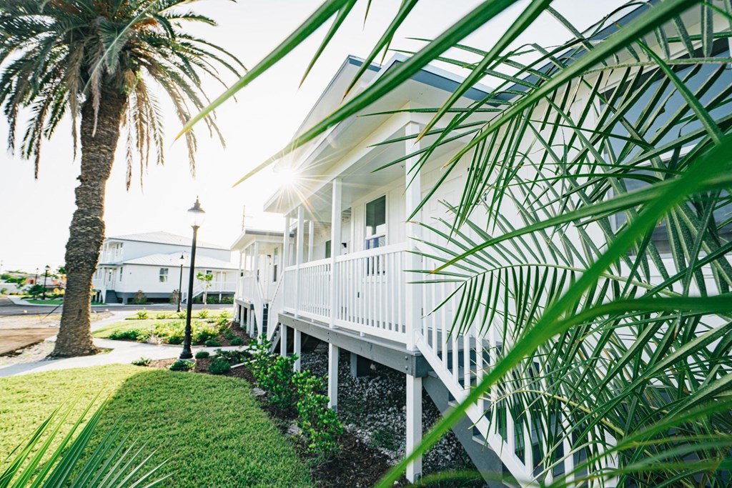 A white house with a porch and a palm tree in front.