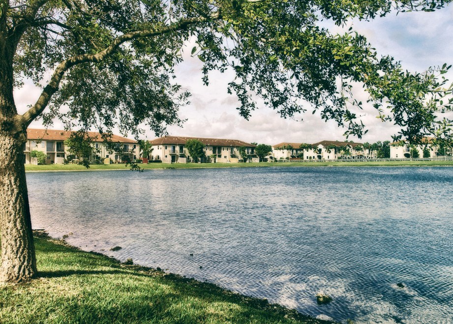 a lake with a tree and a building in the background
