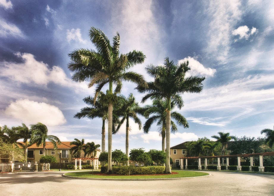 a group of palm trees in the middle of a driveway