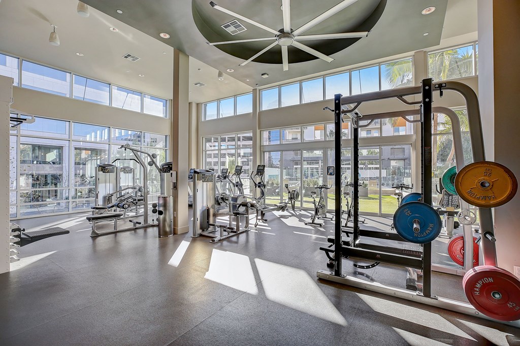 a gym with weights and other equipment in a building with large windows