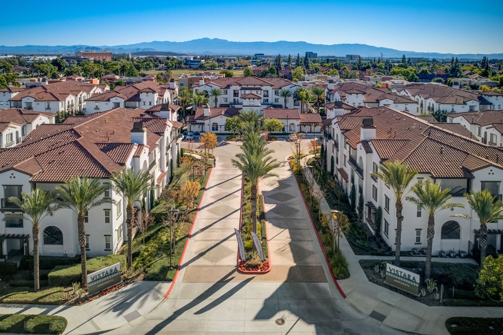 an aerial view of a city street with houses and palm trees