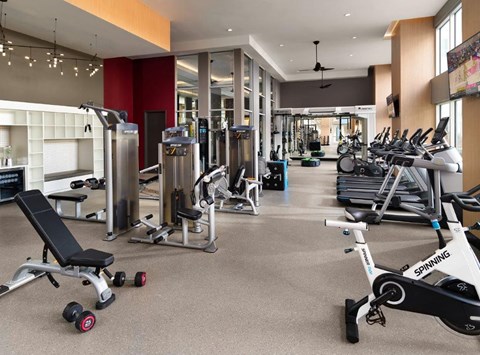 a gym with weights and cardio equipment in a large room