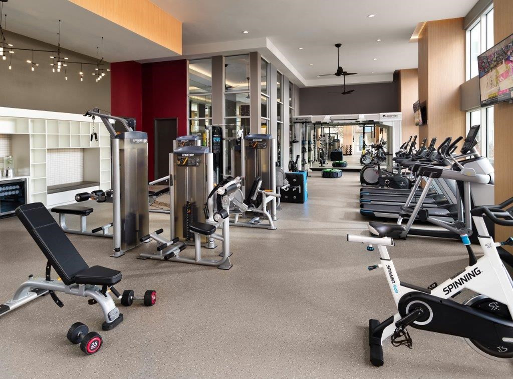 a gym with weights and cardio equipment in a large room