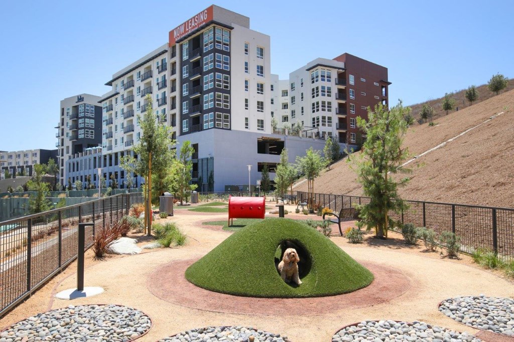 a view of a park with buildings in the background