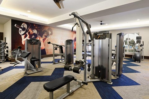 Fully equipped fitness center at Vistara Apartments with weights and cardio machines in Ontario, CA