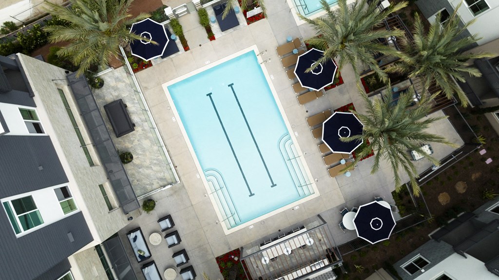 a large pool with palm trees and umbrellas in a pool courtyard