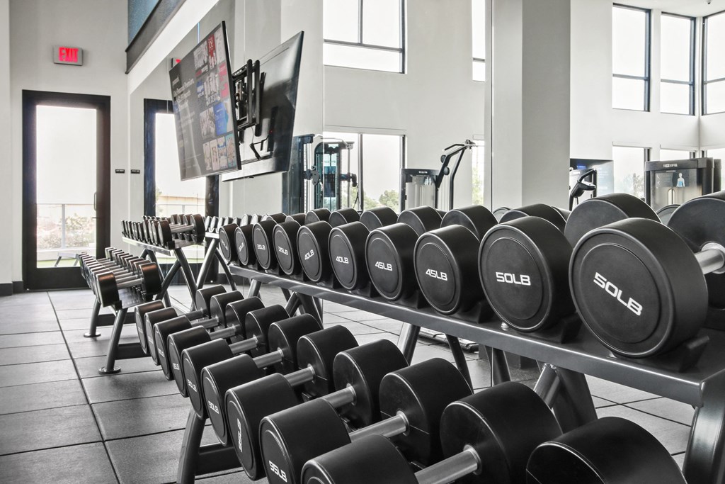 a row of dumbbells in a gym