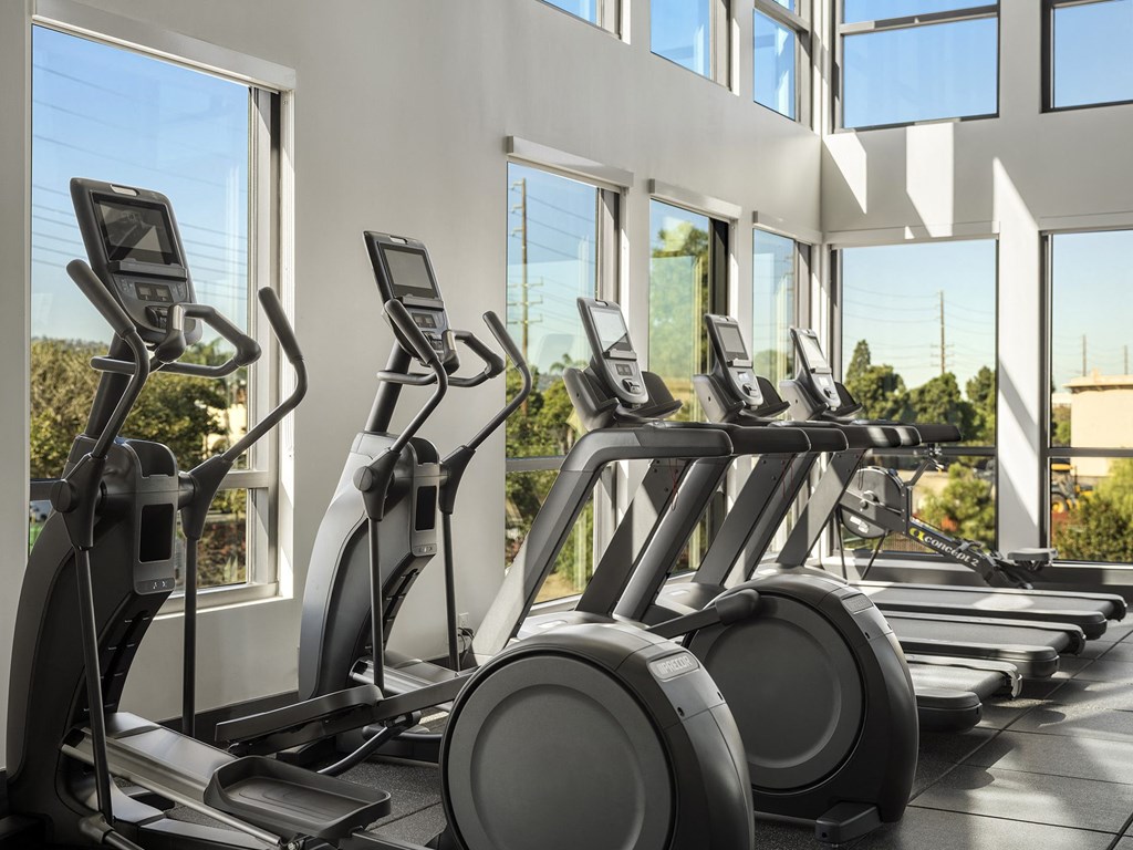 a row of cardio exercise machines in a gym
