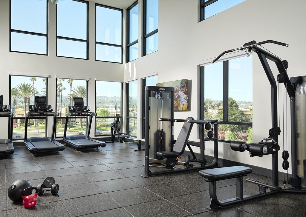 a workout room with weights and other exercise equipment and windows