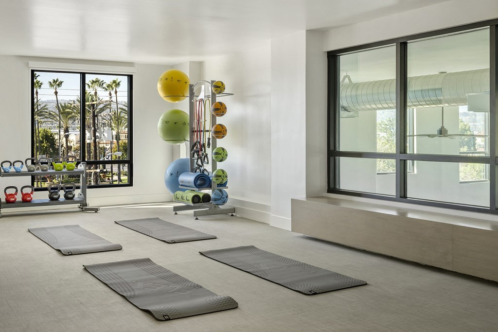 a group of yoga mats on the floor in a room with large windows