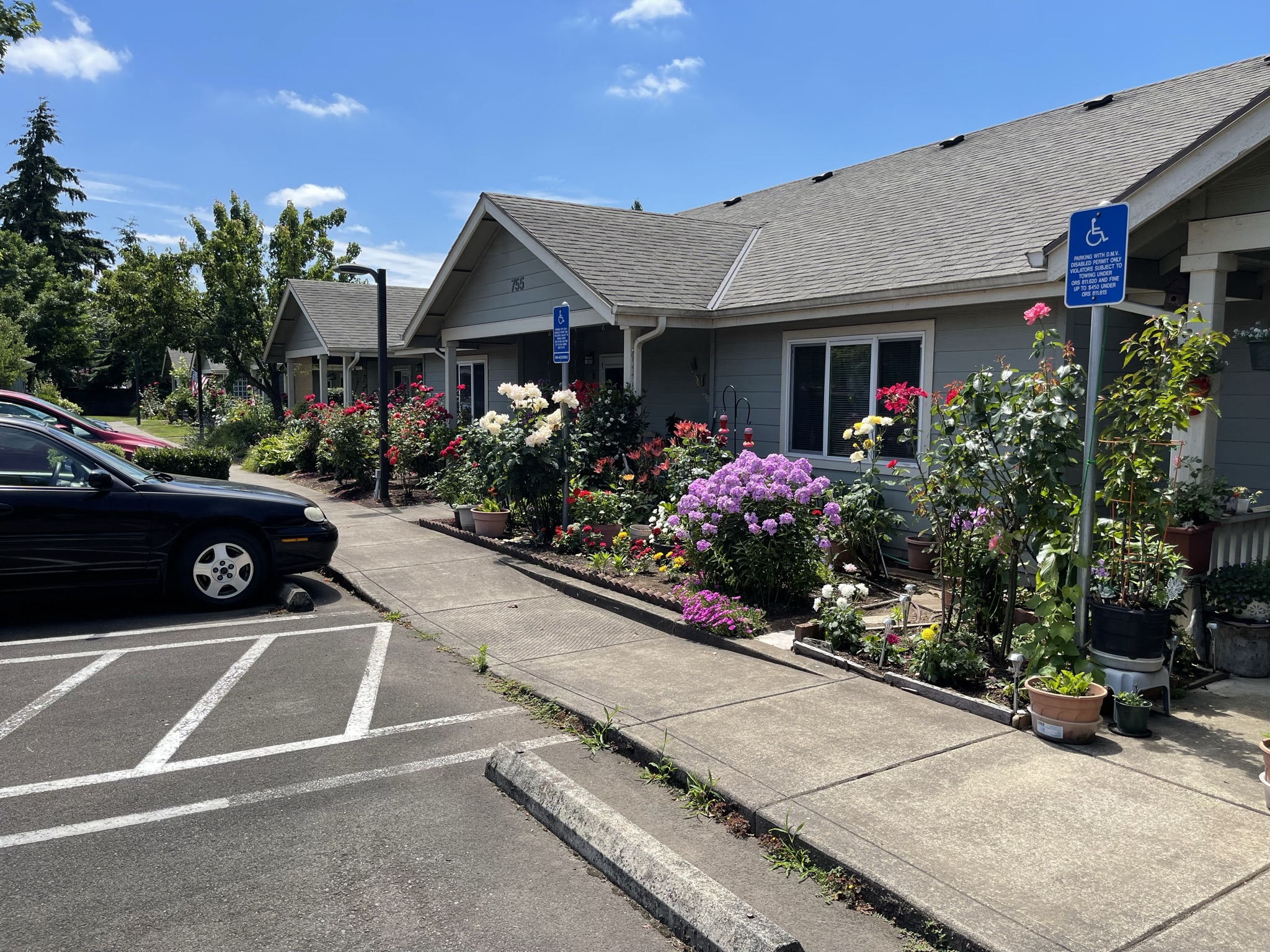 Blooming flowers in front of main entries