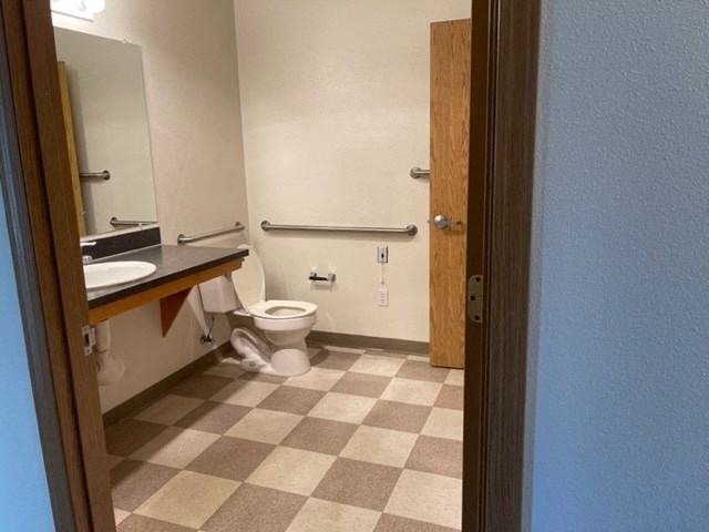 Bathroom with toilet and grab bars