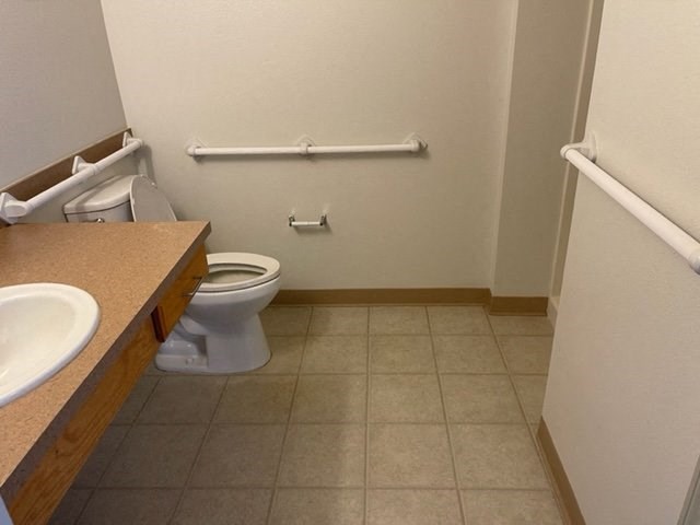 Bathroom with toilet and grab bars