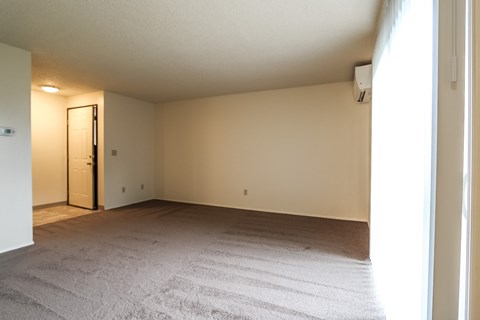 A room with a carpeted floor and a closed door.