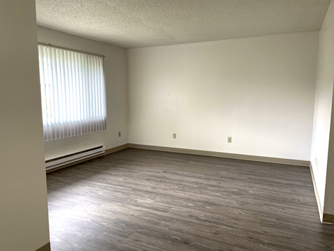 A room with a window and a radiator on the wall.