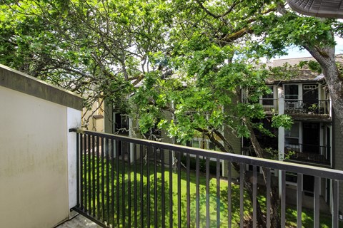 A balcony with a metal railing and a tree in the background.