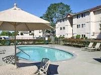 A large umbrella is next to a pool with chairs underneath it.