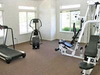 A home gym with a treadmill, exercise bike, and weights.