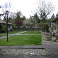 A grassy area with a puddle of water in the middle.