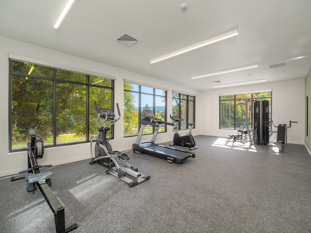the gym has plenty of exercise equipment and windows