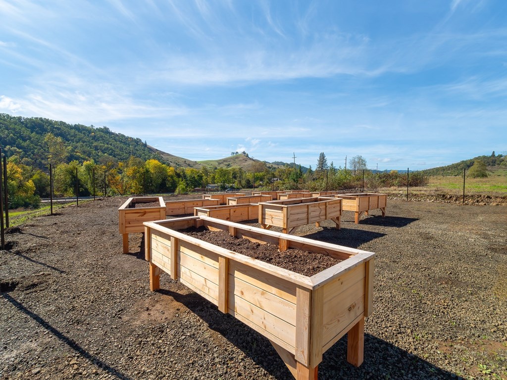 a row of raised garden beds in a field
