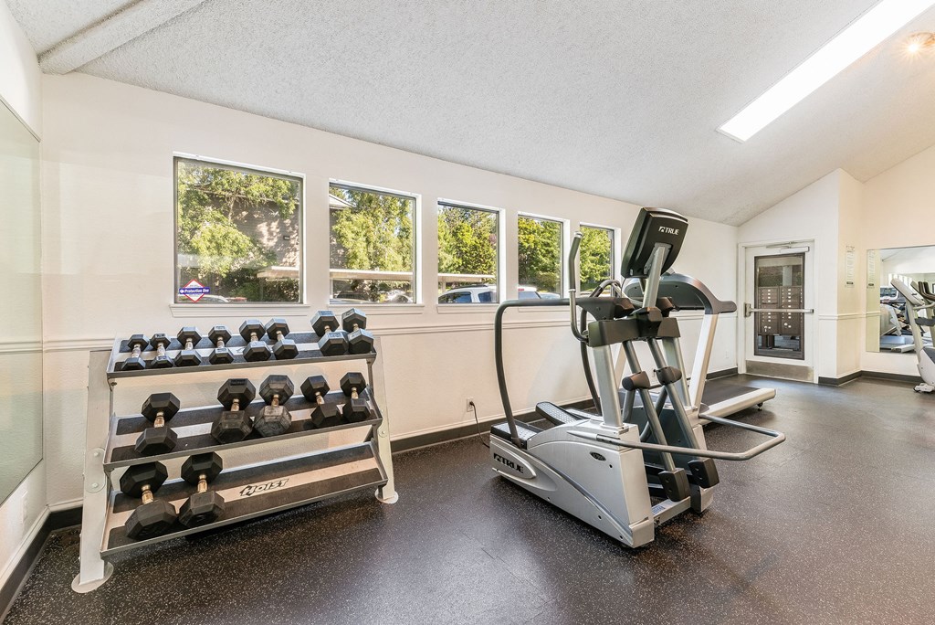 Enchanted Woods_Gym