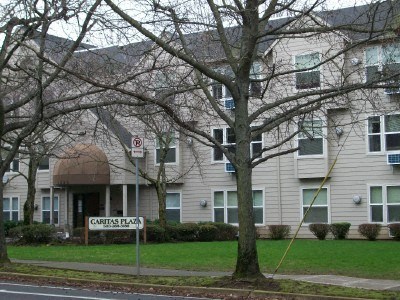 a building with a no parking sign in front of a tree