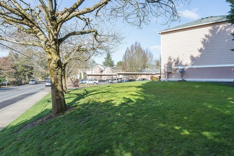 A tree stands on a grassy area in front of a building.