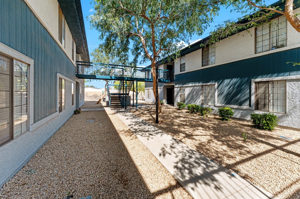 A tree in front of a building with a playground in the background.