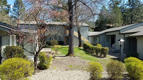 a view of a yard in front of a house