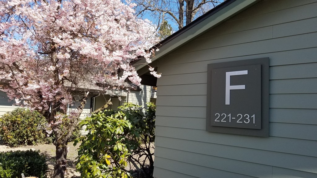 the front of a house with a flowering tree
