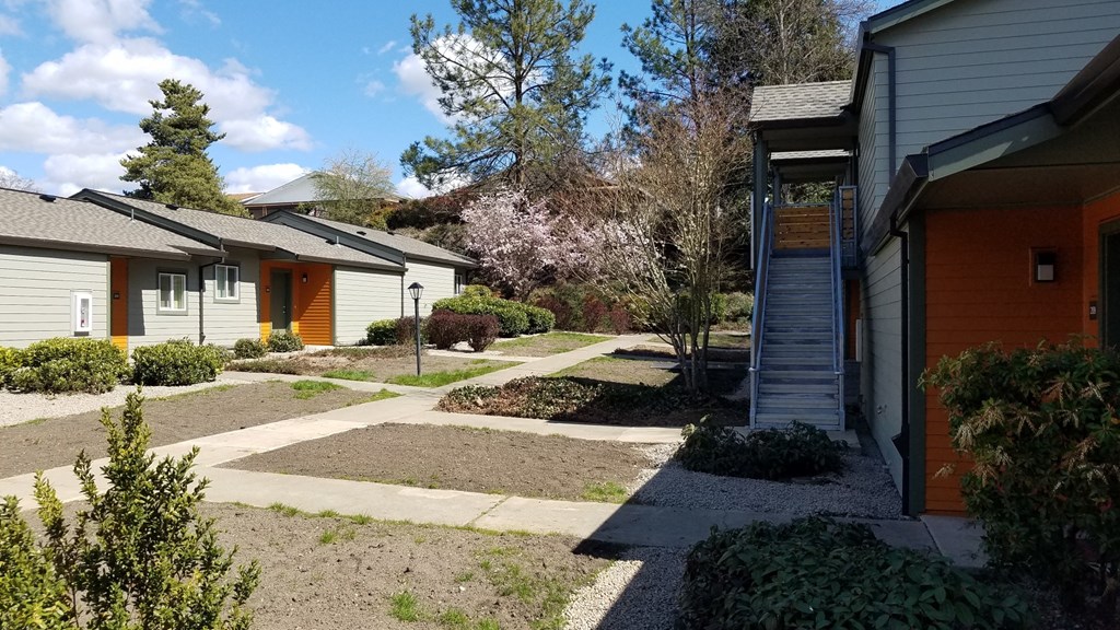 a walkway between two houses in a neighborhood with a flowering tree