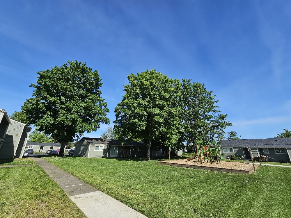 A sunny day in a residential area with houses and green trees.