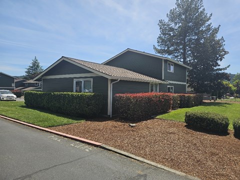 A house with a grey roof and green trim is surrounded by a hedge and a tree.