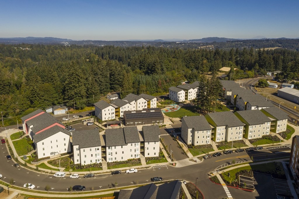 A bird's eye view of a residential area with houses and a roundabout.