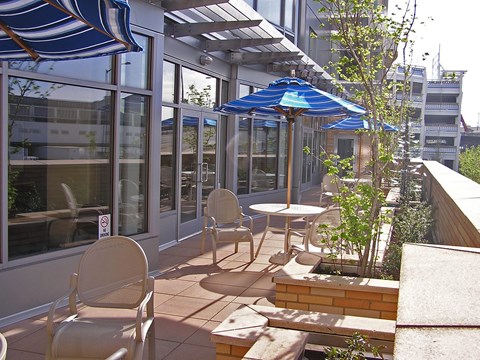 A patio with chairs and tables is covered by blue umbrellas.