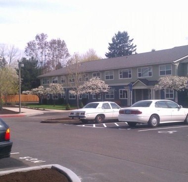 Two cars parked in front of a building with blooming trees.