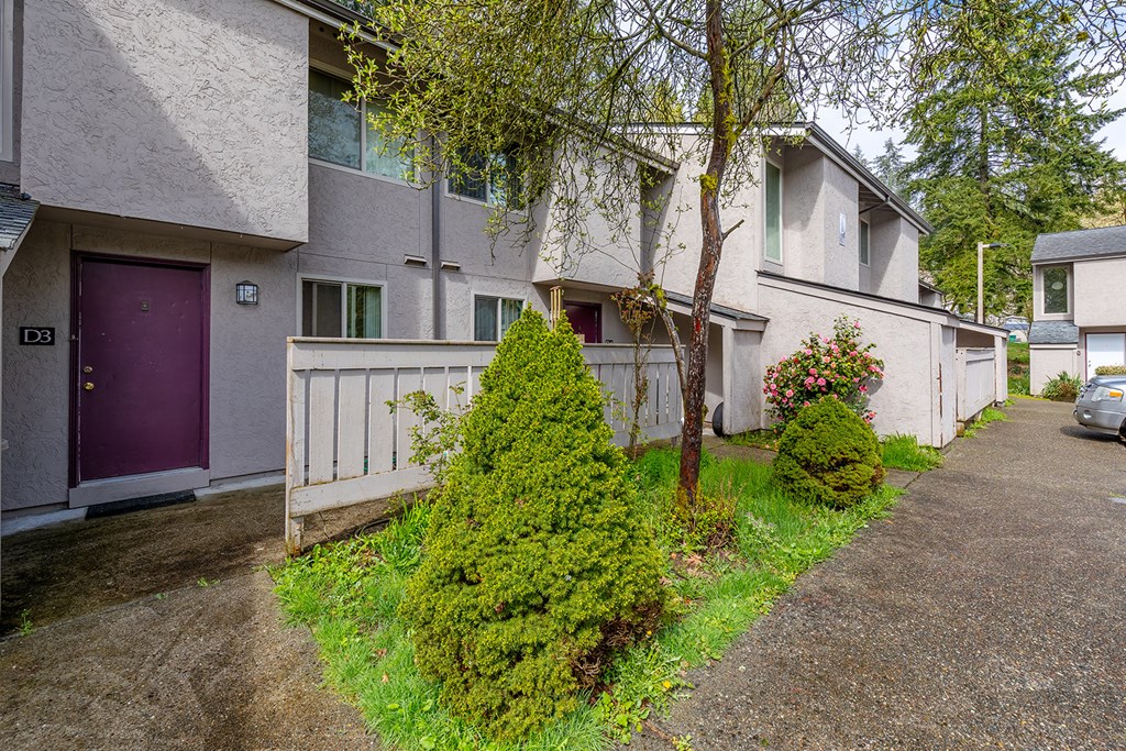 A residential area with a purple door and a green bush.