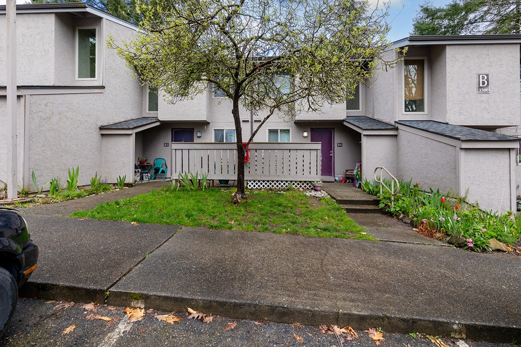 A tree in front of a building with a purple door.