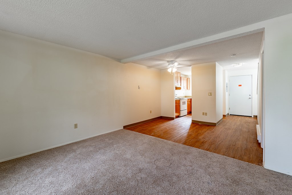 A large, empty room with a carpeted floor and wooden flooring in the background.