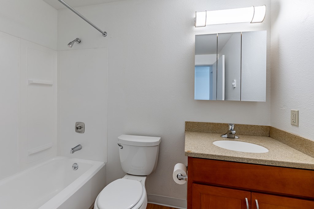A white toilet sits next to a sink in a bathroom.