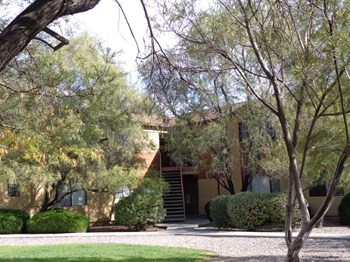 Mingus Pointe - Photo Gallery 6