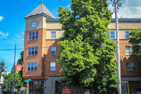 A building with a clock tower is surrounded by trees.